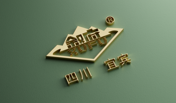 第一证券 叙府以稳健增长之“势”，长远布局之“谋”，汇力高质量发展未来