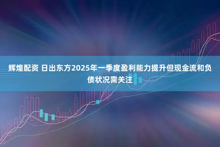 辉煌配资 日出东方2025年一季度盈利能力提升但现金流和负债状况需关注