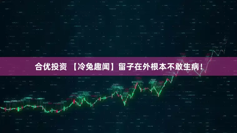 合优投资 【冷兔趣闻】留子在外根本不敢生病！