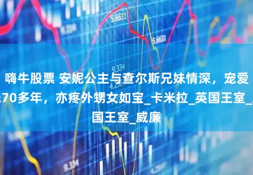 嗨牛股票 安妮公主与查尔斯兄妹情深，宠爱妹妹70多年，亦疼外甥女如宝_卡米拉_英国王室_威廉