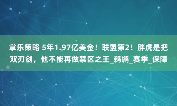 掌乐策略 5年1.97亿美金！联盟第2！胖虎是把双刃剑，他不能再做禁区之王_鹈鹕_赛季_保障